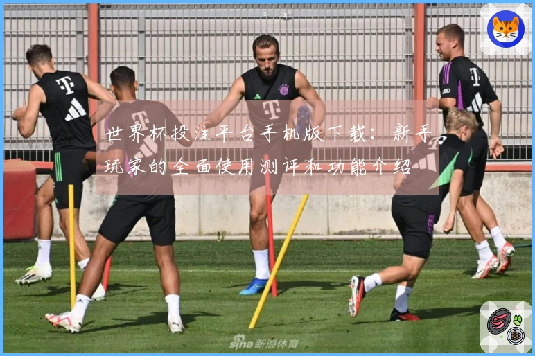 世界杯投注平台手机版下载：新手玩家的全面使用测评和功能介绍