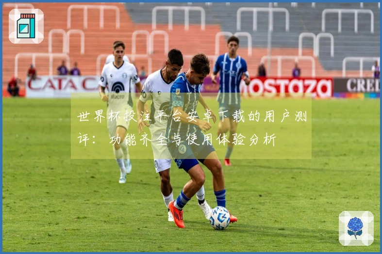 世界杯投注平台安卓下载的用户测评：功能齐全与使用体验分析