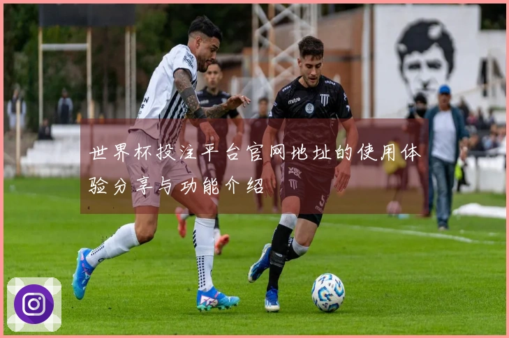 世界杯投注平台官网地址的使用体验分享与功能介绍