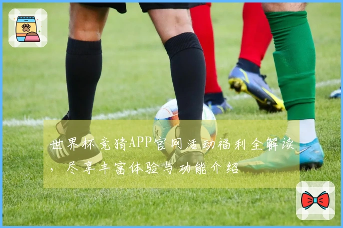 世界杯竞猜APP官网活动福利全解读，尽享丰富体验与功能介绍