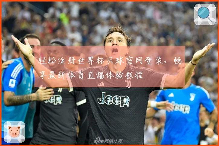 轻松注册世界杯买球官网登录,畅享最新体育直播体验教程