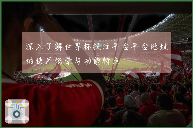深入了解世界杯投注平台平台地址的使用场景与功能特点