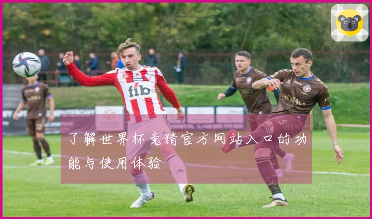了解世界杯竞猜官方网站入口的功能与使用体验