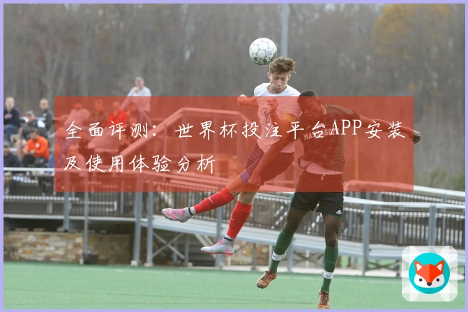 全面评测：世界杯投注平台APP安装及使用体验分析