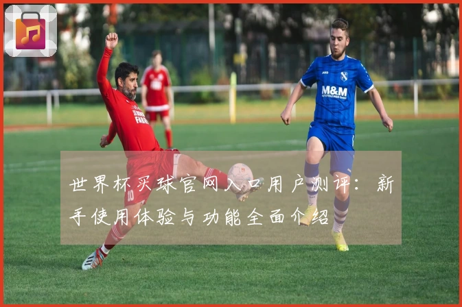 世界杯买球官网入口用户测评：新手使用体验与功能全面介绍