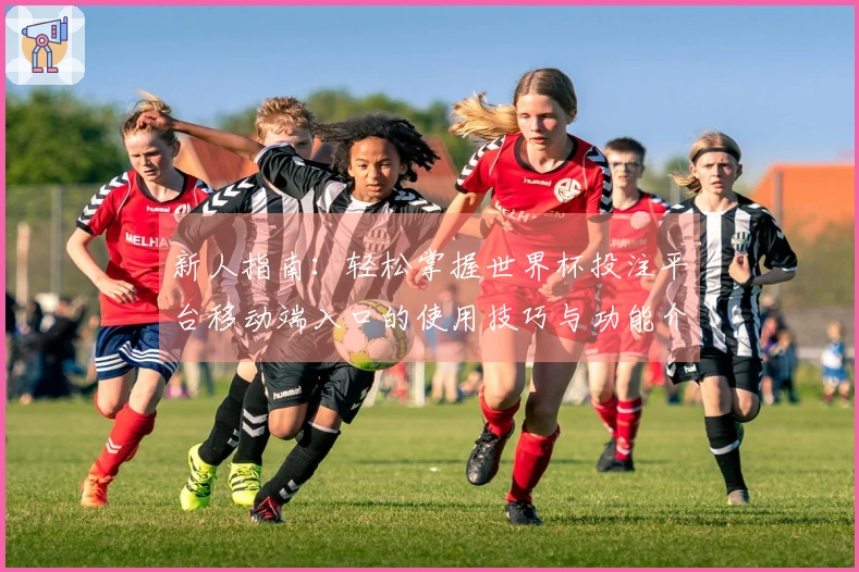 新人指南：轻松掌握世界杯投注平台移动端入口的使用技巧与功能介绍