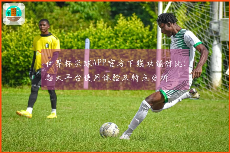 世界杯买球APP官方下载功能对比：各大平台使用体验及特点分析